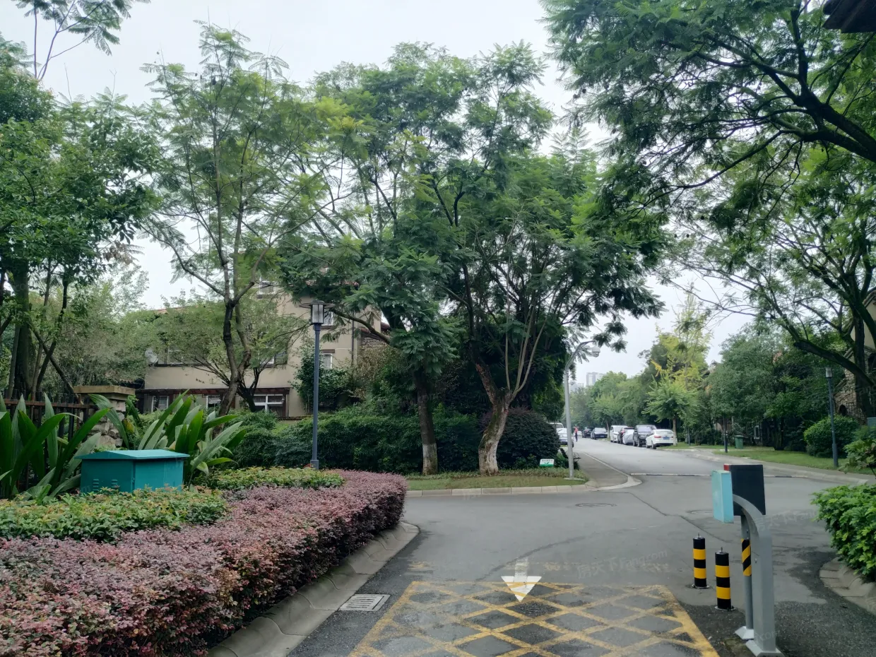 麓山国际逸翠谷