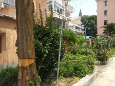 公园新村 2室1厅 南 北