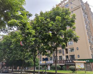 华宇静苑一期3室2厅南北