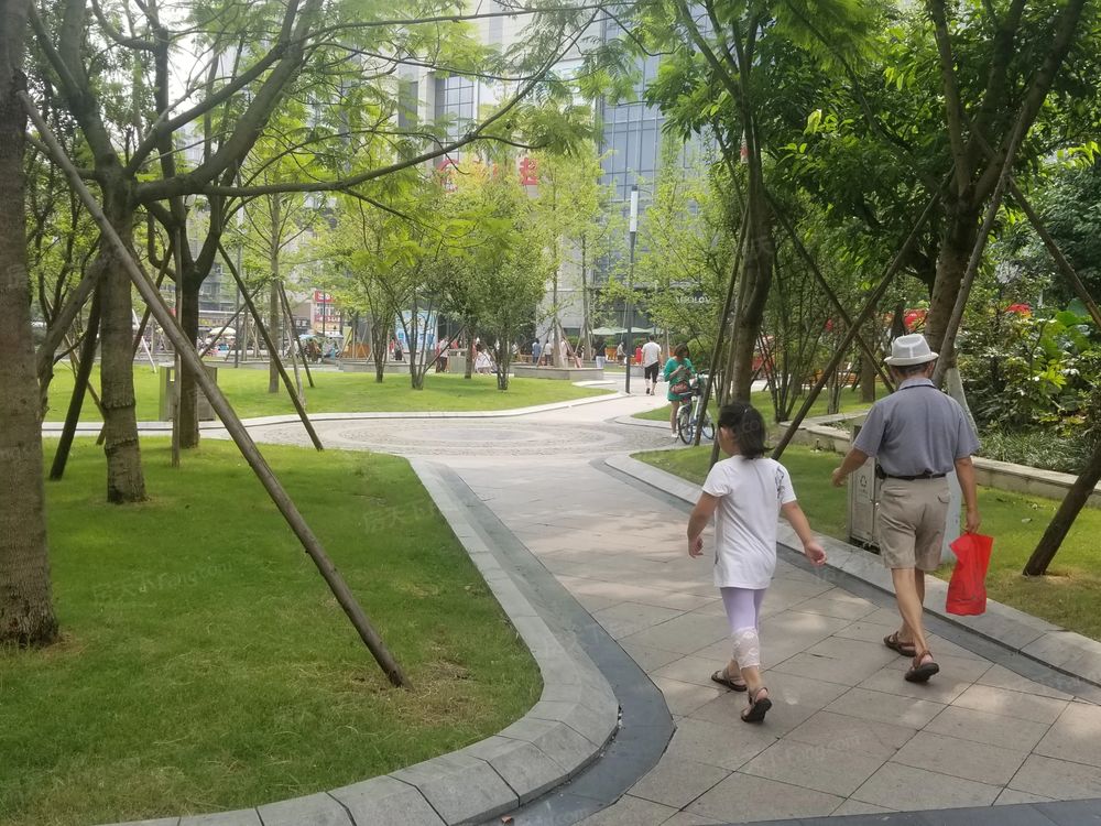 小区相关图