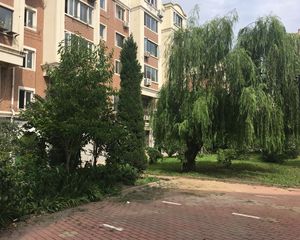 香周路鼎山公园旁边小户型房款低