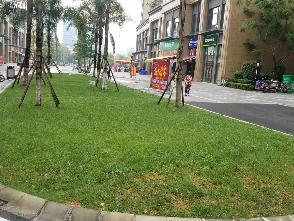 小区相关图