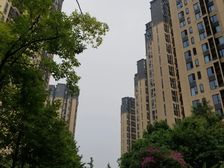 万科金域缇香二期3室2厅南