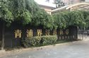 界泾港新村实景图
