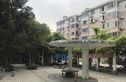 界泾港新村实景图