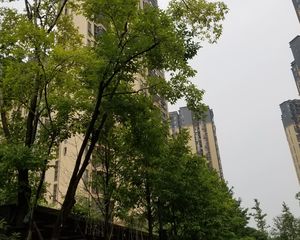万科金域缇香二期3室2厅东