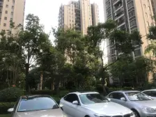 夏阳·龙湖紫都城南区·2室·2厅