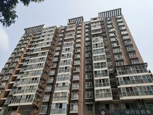 平福里 3室1厅 南