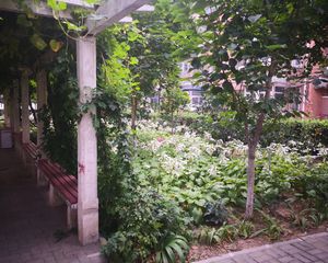 大红门东前街甲27号,地铁8号线大红门南,满五唯一