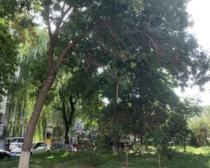 丰台益丰园,东高地,电梯中间楼层,正规两居