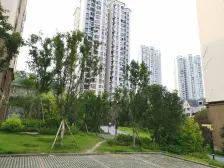 回兴 南方玫瑰城黛瑰苑三房90万