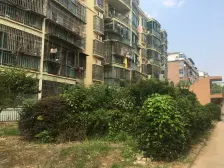 心怡花苑 南北通透,采光好 装修好,环镜优美 视野好,诚心出售