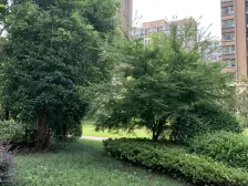 产权清晰,电梯房 新上房源