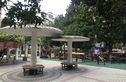 界泾港新村实景图
