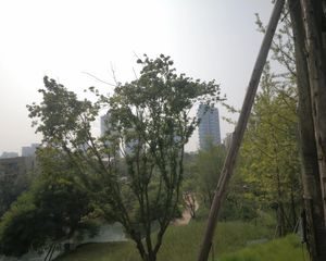 麓湖生态城琉璃溪岸4室1厅东南北