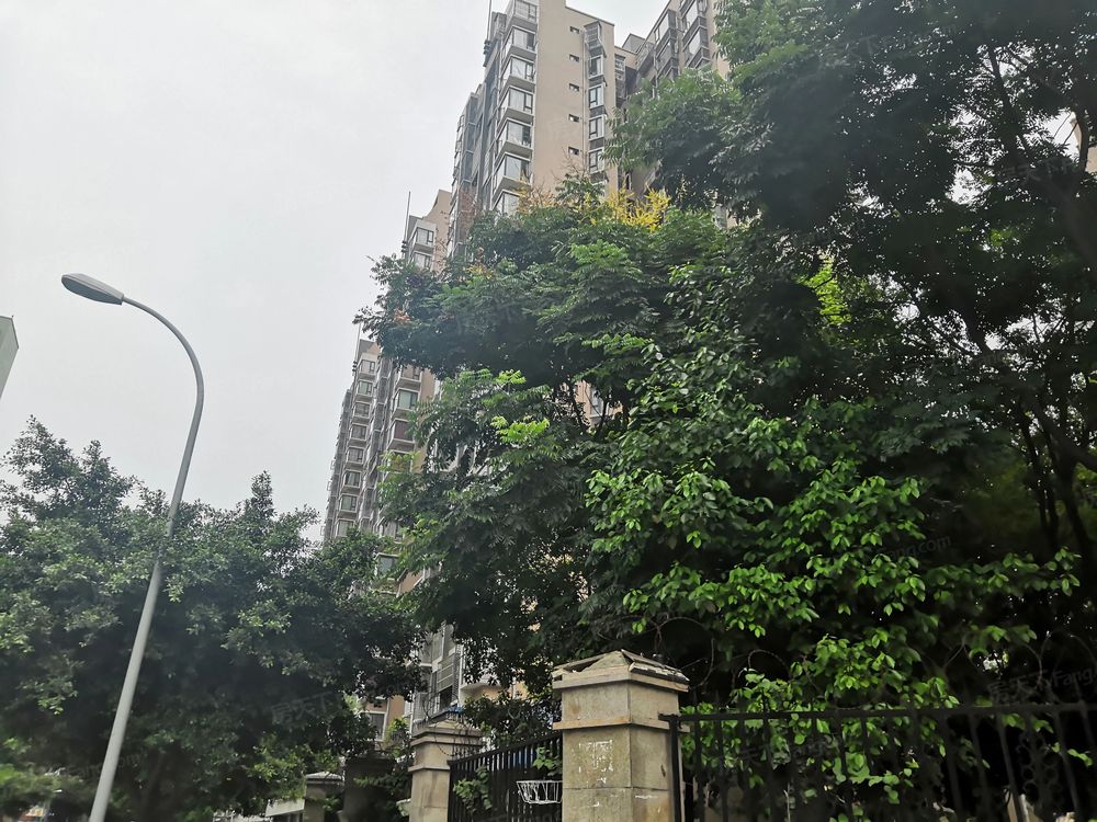 小区相关图