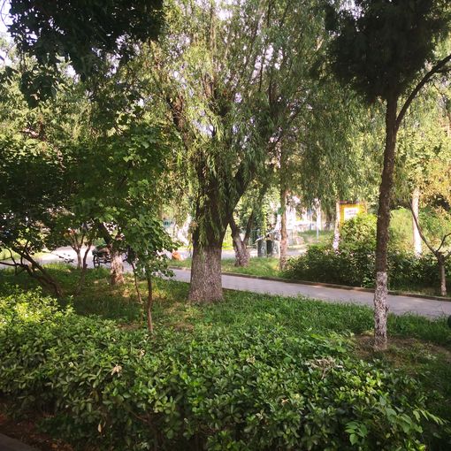  ���ű���2��1��1���ϱ�����4400.00Ԫ/�³��� 