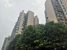 锦西人家一区 1室1厅 西北