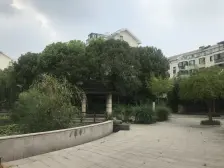 精装,产权清晰 无抵押 新上房源