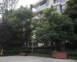 麓湖生态城琉璃溪岸3室1厅西南