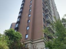 金地二期王炸户型4房 接受周期 远观佘山一览无遗