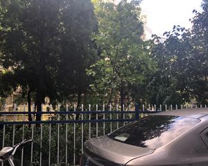 北礼士路北区3室1厅东