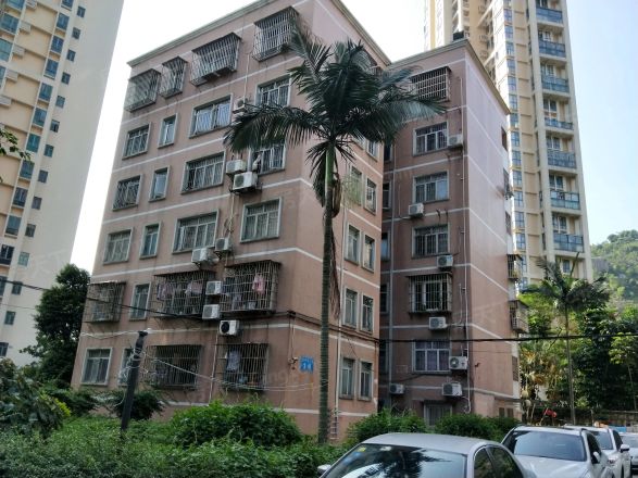 金钟公寓实景图