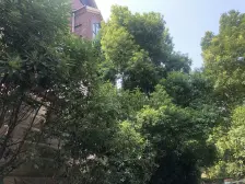 南北通3房,采光好,全明、近百联、海棠旁,产权车位