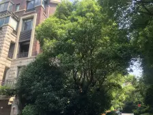 电梯中区采光好南北直通有钥匙+百联商圈近金山卫诚售