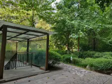 杨家坪 近轻轨 标准两房