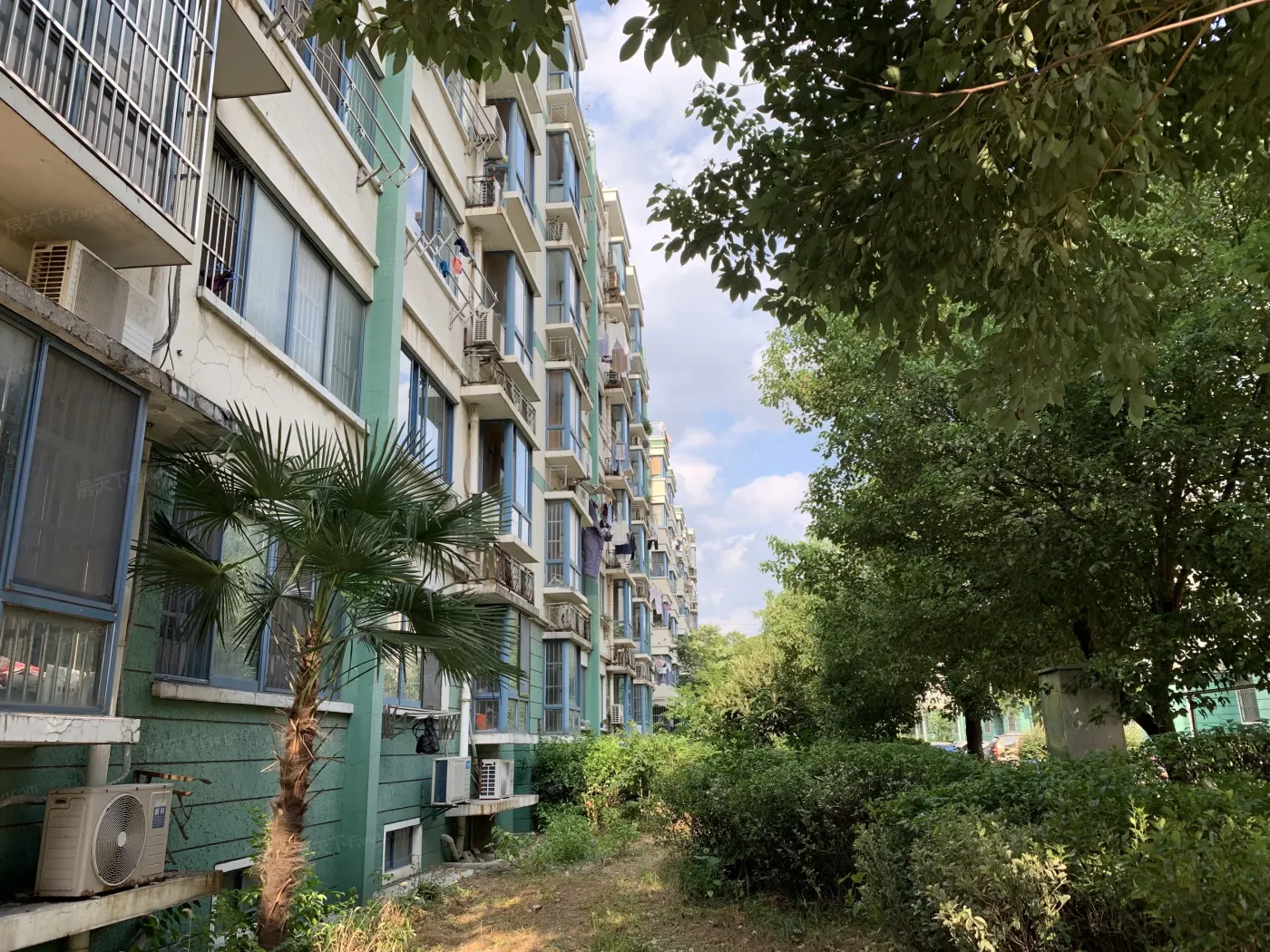 竹园小区别墅实景图