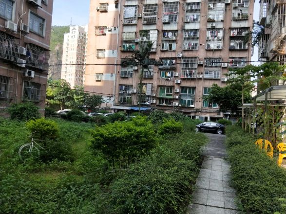 金钟公寓实景图