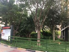 恒大天悦 精装修 带全套家具家电 好房出售