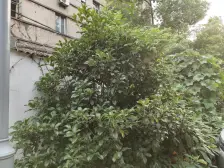 房东诚意出售此房,两房户型正,近地铁交通方便。