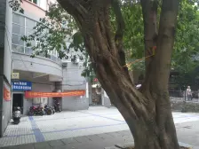 精准大三房 诚心出售 近轻轨站 拎包入住