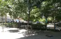 金桥丽日新居实景图