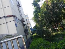 新精装修宾阳西里北区一层新装修精装