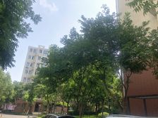 近万达,双前京,总价低,诚意卖,满五年税费少