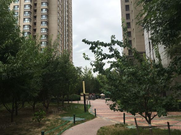 融侨观邸实景图