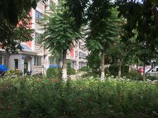 鹿海园一里1室1厅南
