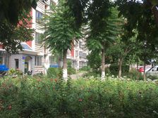 鹿海园三里精装修满五年家庭唯一住宅