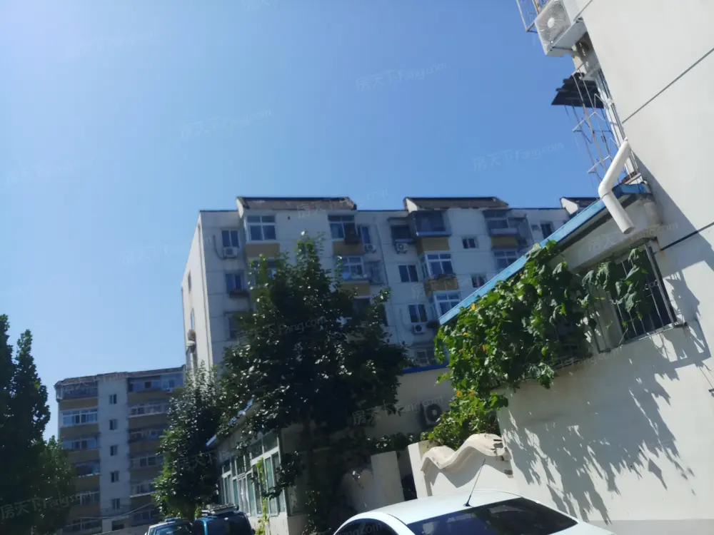 实景图