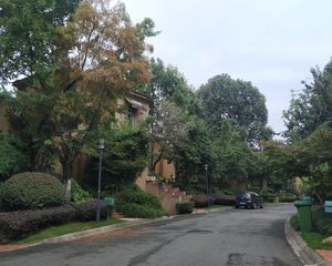 麓山国际圆石滩5室3厅西南