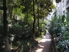 铜元局 融侨风临洲A区四房158万