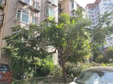 昊天嘉园精装修自住户型方正近地铁南向大一居