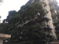 光明馨苑3室1厅南北