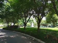 别卷了!来这里当咸鱼,连风都夸你会选房