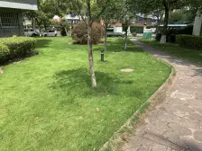 满五税费少,实际使用面积200多平方,业主诚心..