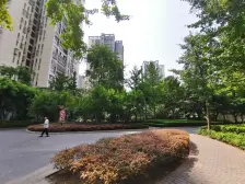 西区 爱加橄榄园四房