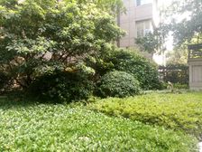 满五年名下仅一套四开间全南户型看小区花园